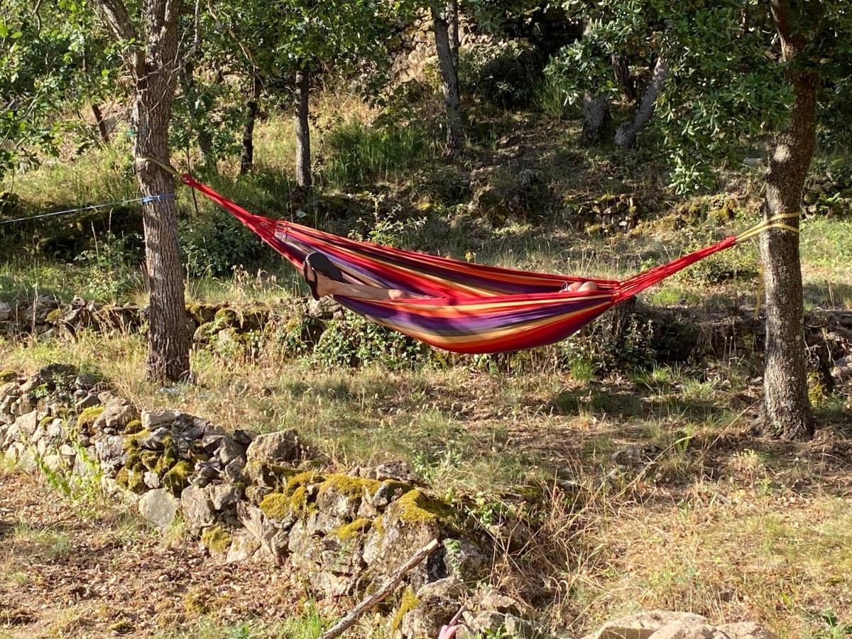 Ribes - Chalet Gite Au Coeur De La Nature Sournia ภายนอก รูปภาพ