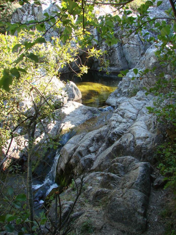 Ribes - Chalet Gite Au Coeur De La Nature Sournia ภายนอก รูปภาพ