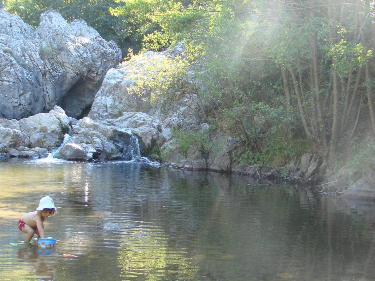 Ribes - Chalet Gite Au Coeur De La Nature Sournia ภายนอก รูปภาพ