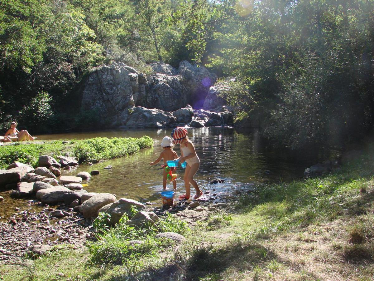 Ribes - Chalet Gite Au Coeur De La Nature Sournia ภายนอก รูปภาพ